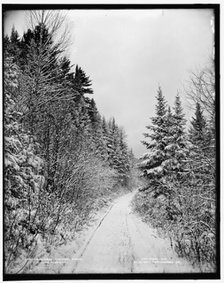 Ammonoosuc turnpike, winter, White Mountains, c1900. Creator: Unknown.