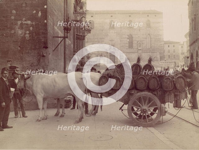 Carro con buoi, Perugia, 1880s. Creator: James Anderson.
