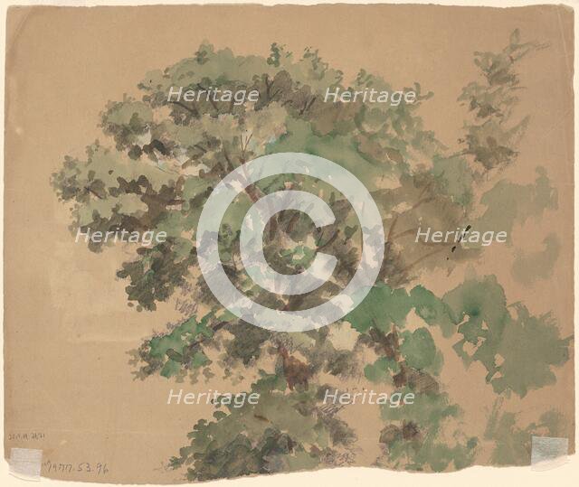 Tree [verso], c. 1870-1900. Creator: Enoch Wood Perry.