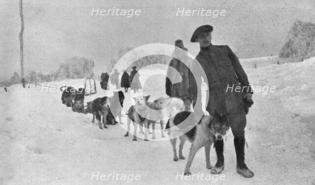 'Skieurs et chiens de guerre dans les neiges vosgiennes; Le lieutenant Haas, consul de..., 1916. Creator: Unknown.