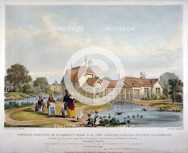 Cottage erected in St James's Park for the Ornithological Society of London, Westminster, 1844.      Artist: John Burges Watson