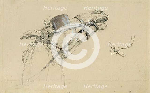 Study of a horse's head for "Return of Emperor Franz from Pressburg", before 1828. Creator: Johann Peter Krafft.