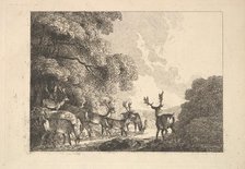 A Group of Stags Drinking, 1784-88. Creator: Thomas Rowlandson.
