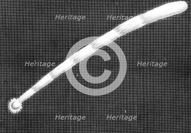 Great comet of 1680 (Kirch) as it appeared as it approached the Sun. Artist: Unknown