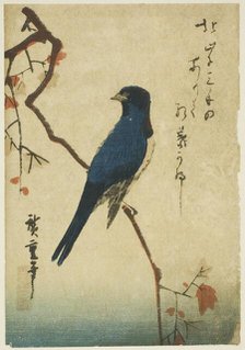 Blue bird on maple branch, n.d. Creator: Ando Hiroshige.