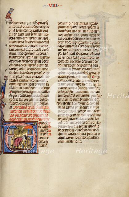 Initial T: Two Men Digging; Vidal Mayor, about 1290-1310. Creator: Unknown.