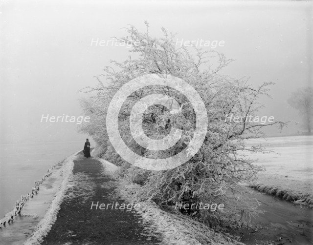 Binsey, Oxford, Oxfordshire, 1880.  Artist: Henry Taunt