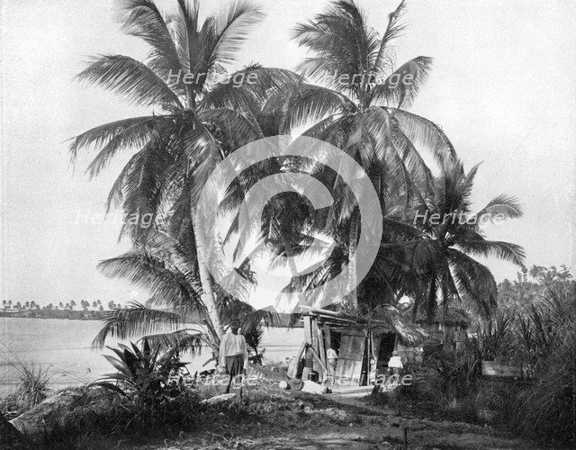 On the road to Blue Hole, Port Antonio, Jamaica, c1905.Artist: Adolphe Duperly & Son