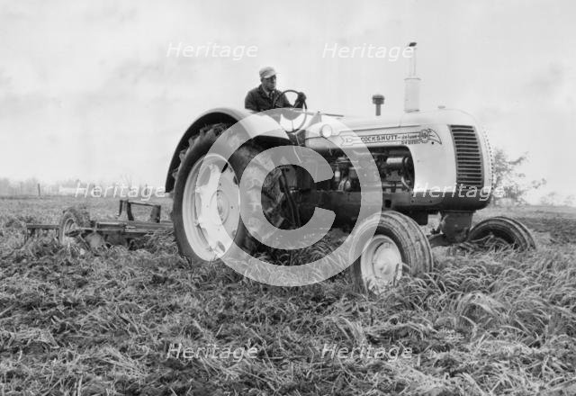 1955 Cockshutt tractor. Creator: Unknown.