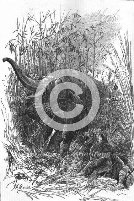 'The Colonial Exhibition: India: The Trophy of Kooch Behar', 1886.  Creator: Unknown.