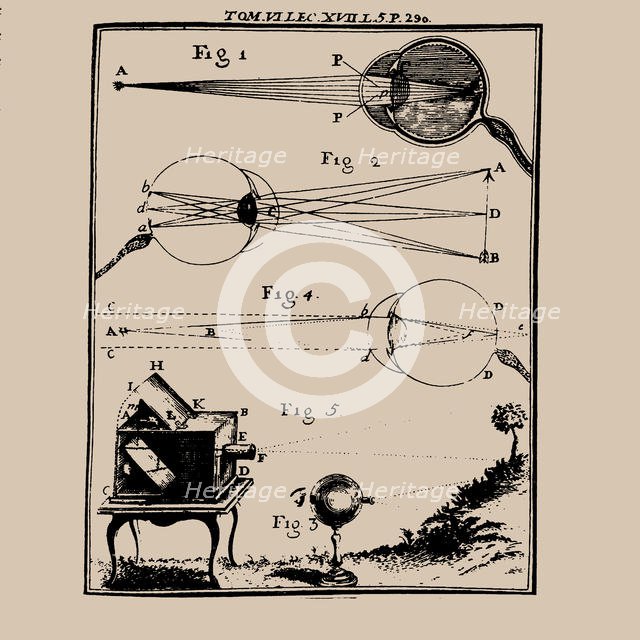 Comparative depiction of the human eye and the camera obscura, 18th century. Creator: Anonymous.