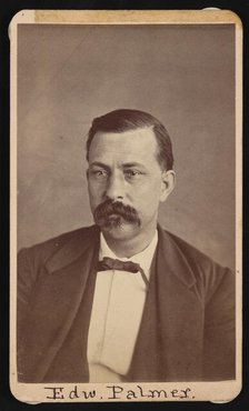 Portrait of Edward Palmer (1829-1911), Before 1900. Creator: Thomas William Smillie.