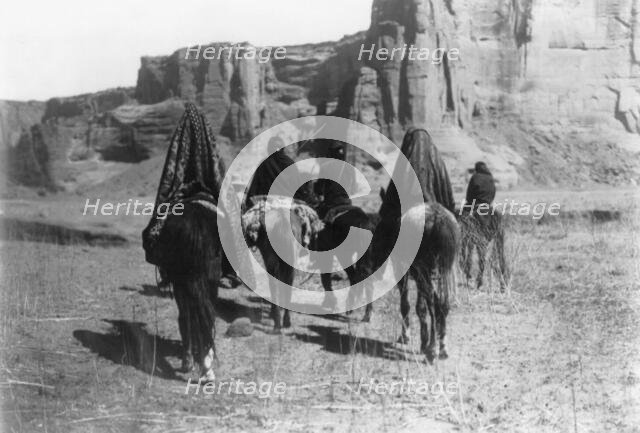 March through Tesacod Canyon, c1905. Creator: Edward Sheriff Curtis.