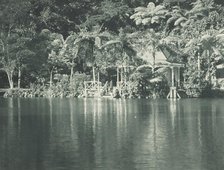 In the New Plymouth Recreation Grounds. From the album: Record Pictures of New Zealand, 1920s. Creator: Harry Moult.