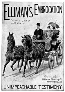 Advertisement for Elliman's Embrocation, 1898. Creator: Unknown.