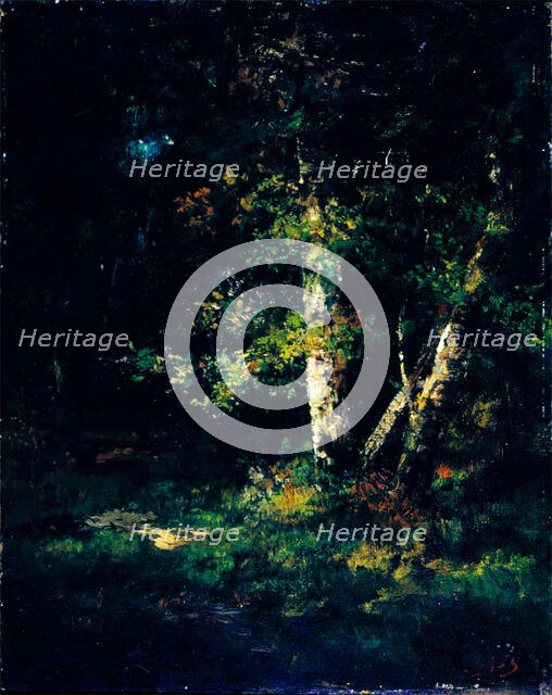 Forest Scene, c1830-1870. Creator: Narcisse Virgile Diaz de la Pena.