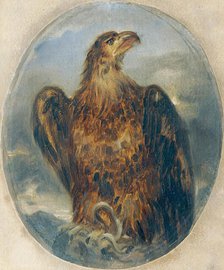 Eagle, undated. (c1850s) Creator: Joseph Hasslwander.