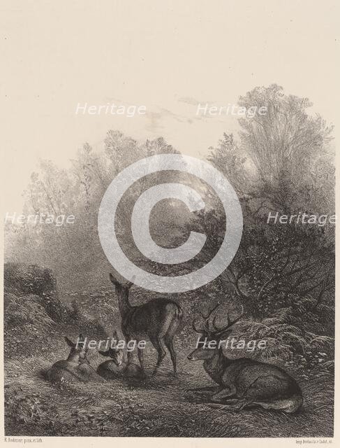 Biches au repos. Creator: Karl Bodmer.