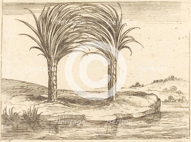Two Palm Trees. Creator: Jacques Callot.