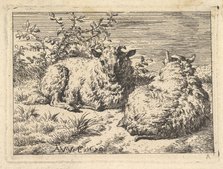 Two Recumbent Sheep, 1670. Creator: Adriaen van de Velde.