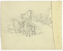 Cattle (recto); The Charlatan (verso), n.d. (recto); 1789/1843 (verso). Creator: William Henry Pyne.
