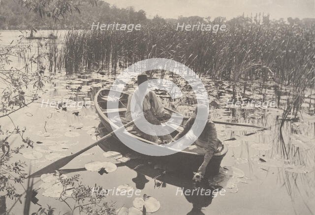 Life and Landscape on the Norfolk Broads, 1885-86., 1885-86. Creator: Dr Peter Henry Emerson.