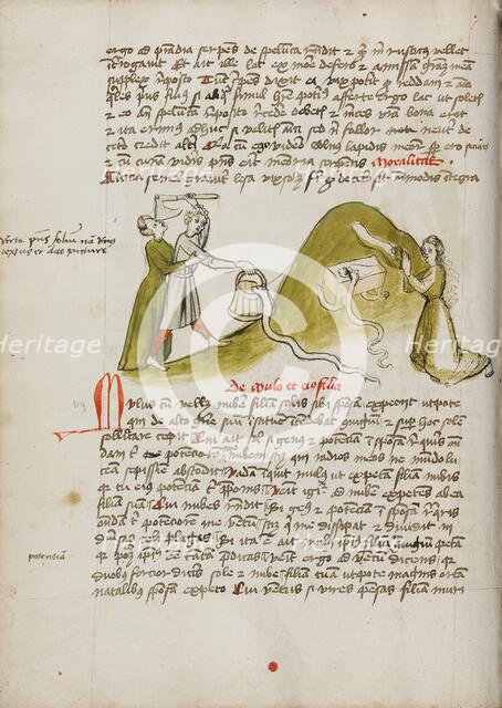 A Woman in Prayer and a Snake on a Nearby Hillock: A Man Trying to..., third quarter of 15th cent. Creator: Unknown.