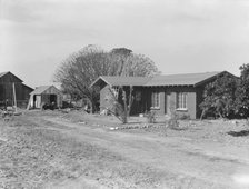 Rural rehabilitation, Tulare County, California, 1938. Creator: Dorothea Lange.