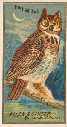 Horned Owl, from the Birds of America series (N4) for Allen & Ginter Cigarettes Brands, 1888. Creator: Allen & Ginter.
