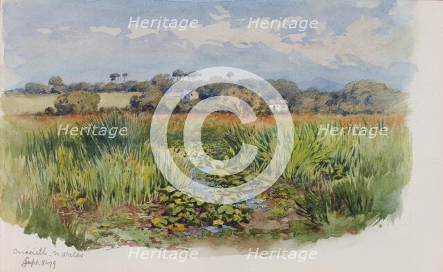 Criccieth, N Wales, 1899. Creator: George Elbert Burr.