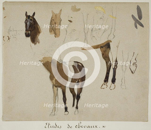 Studies of Horses, n.d. Creator: Jules Elie Delaunay.
