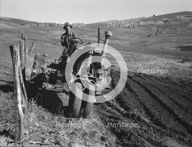 Young farmer plowing while other co-op members..., Ola self-help sawmill co-op, Gem County, 1939. Creator: Dorothea Lange.