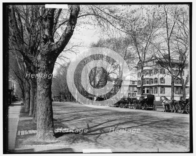 The Laurel House, Lakewood, N.J., c1901. Creator: William H. Jackson.