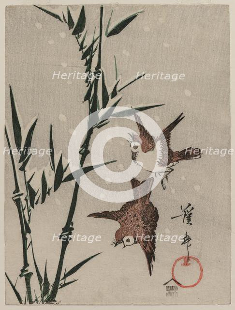 Sparrows, Bamboo and Falling Snow, c. late 1820s. Creator: Keisai Eisen (Japanese, 1790-1848).