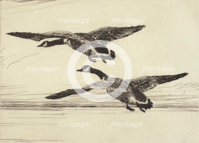 Two Black Geese, 1931. Creator: Frank Weston Benson.