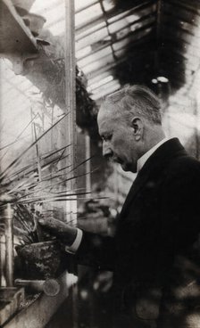 Daniel Berthelot. Creator: Unknown.