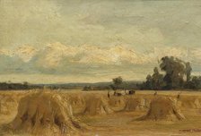 Harvest Field, Rosemount, Blairgowrie, 1907. Creator: William Grant Murray.