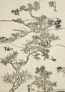 Samples of Three Tree Types for Artists, 19th century. Creator: Shinsai.
