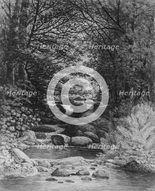 A Forest Cascade at Hiram, Maine, 1859. Creator: Henry Hitchings.