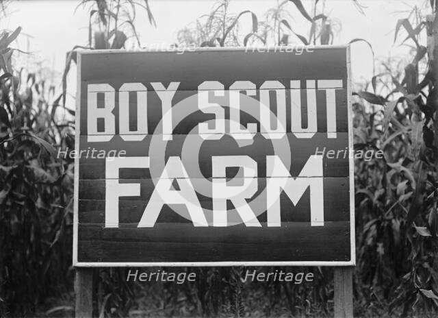 Boy Scouts, Boy Scout Farm, 1917. Creator: Harris & Ewing.