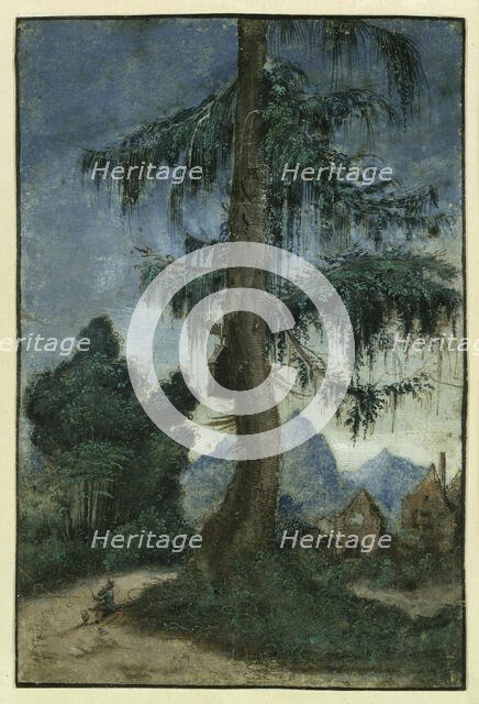 Landscape with a spruce, ca 1522. Creator: Altdorfer, Albrecht (c. 1480-1538).