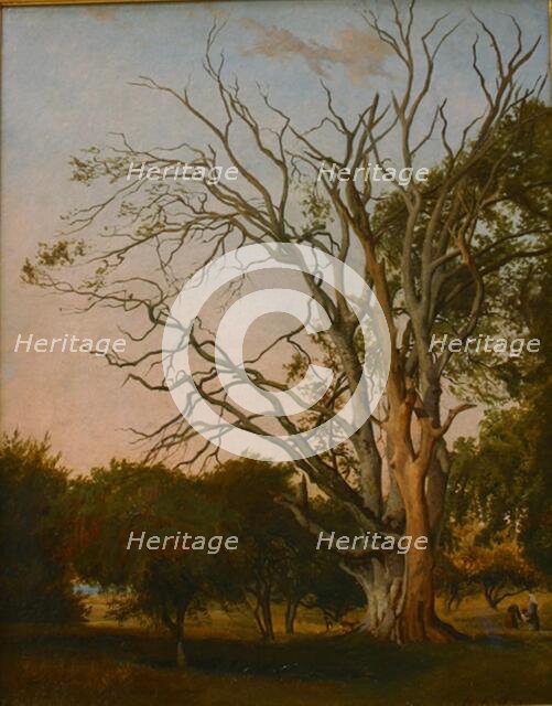 Woodland Scene with a Dead Tree, 1835. Creator: Johann Hermann Carmiencke.