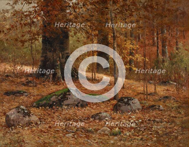 Monarch Beech, about 1900-1902. Creator: John Elwood Bundy.