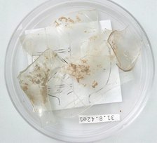 Glass Fragments, Coptic, 4th century. Creator: Unknown.