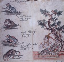 Monkeys and a Buddhist deity, c1700-c1820.  Creator: Unknown.