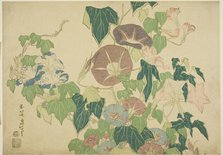 Morning Glories and Tree-frog, from an untitled series of Large Flowers, Japan, c. 1833/34. Creator: Hokusai.