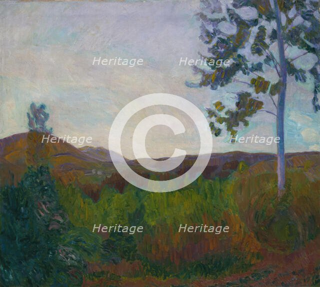 From Gausdal, 1910. Creator: Thorvald Erichsen.