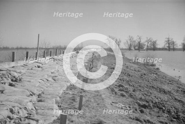 The Bessie Levee augmented with sand bags...1937 flood near Tiptonville, Tennessee, 1937. Creator: Walker Evans.
