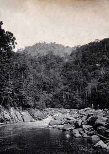 Sarawak: falls on the Baram River, c1900. Creator: Unknown.