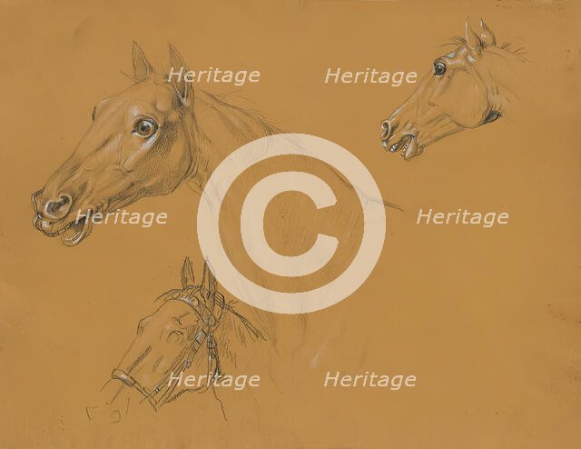 Horse study for "Archduke Karl with his staff in the Battle of Aspern", before 1817. Creator: Johann Peter Krafft.